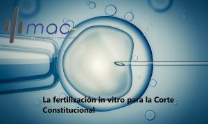 Lee más sobre el artículo La fertilización in vitro para la Corte Constitucional